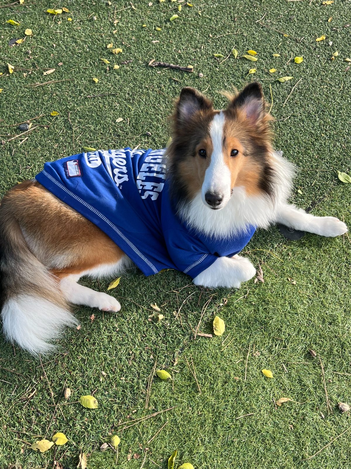 今日もたのしい幼稚園♪