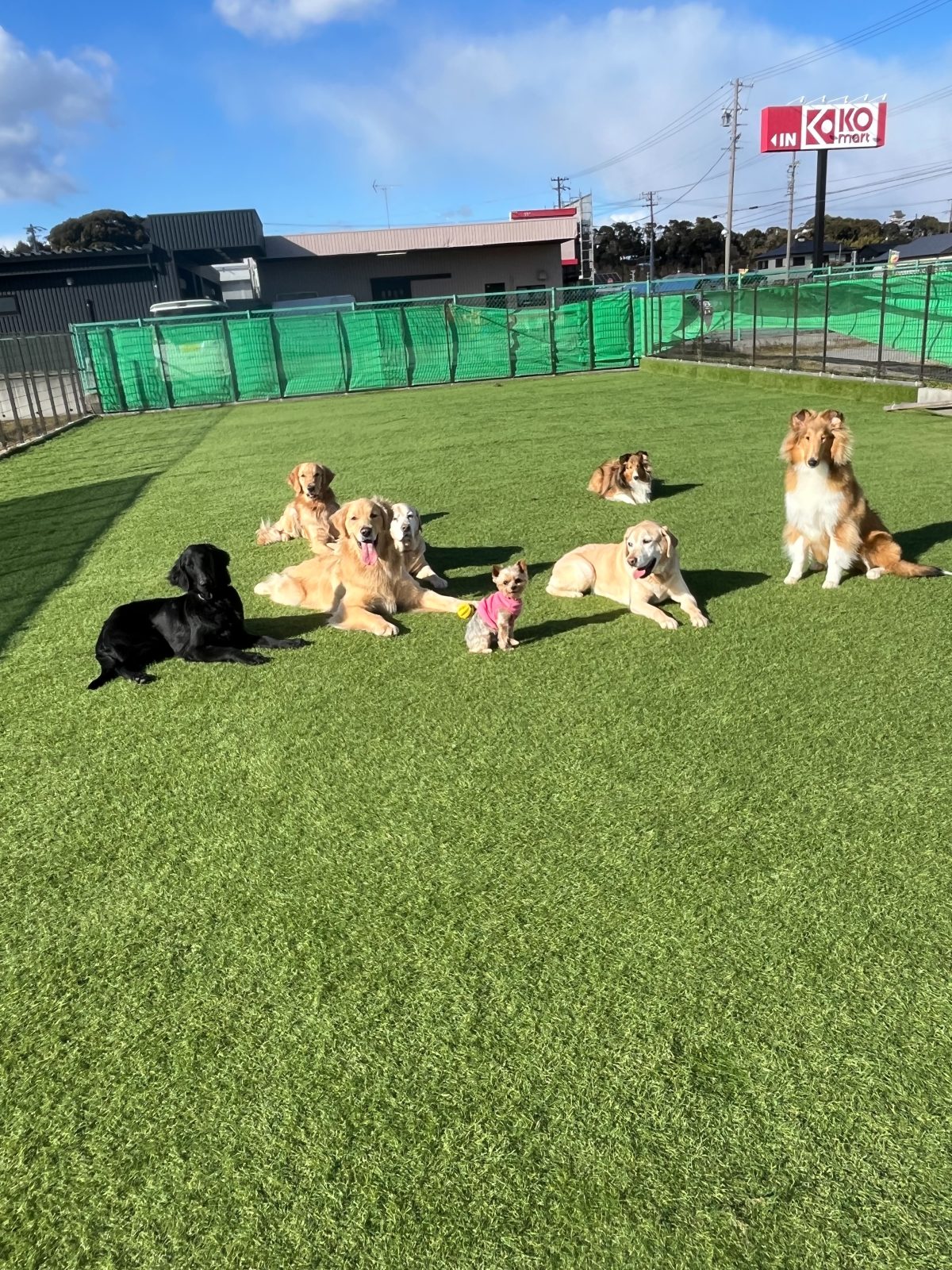 今日のスクールの様子は…