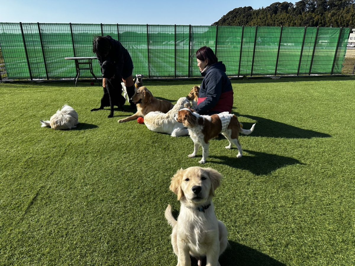 入園おめでとう！