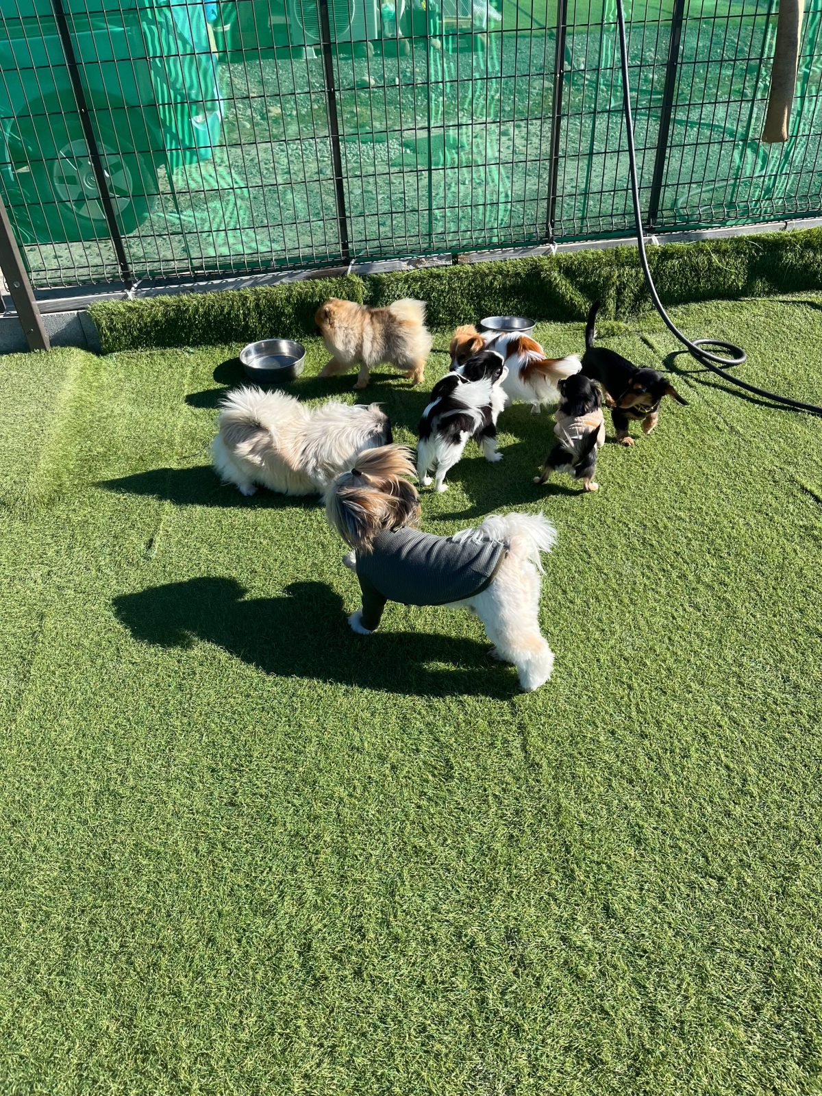 1月14日　今日のスクールでは…①