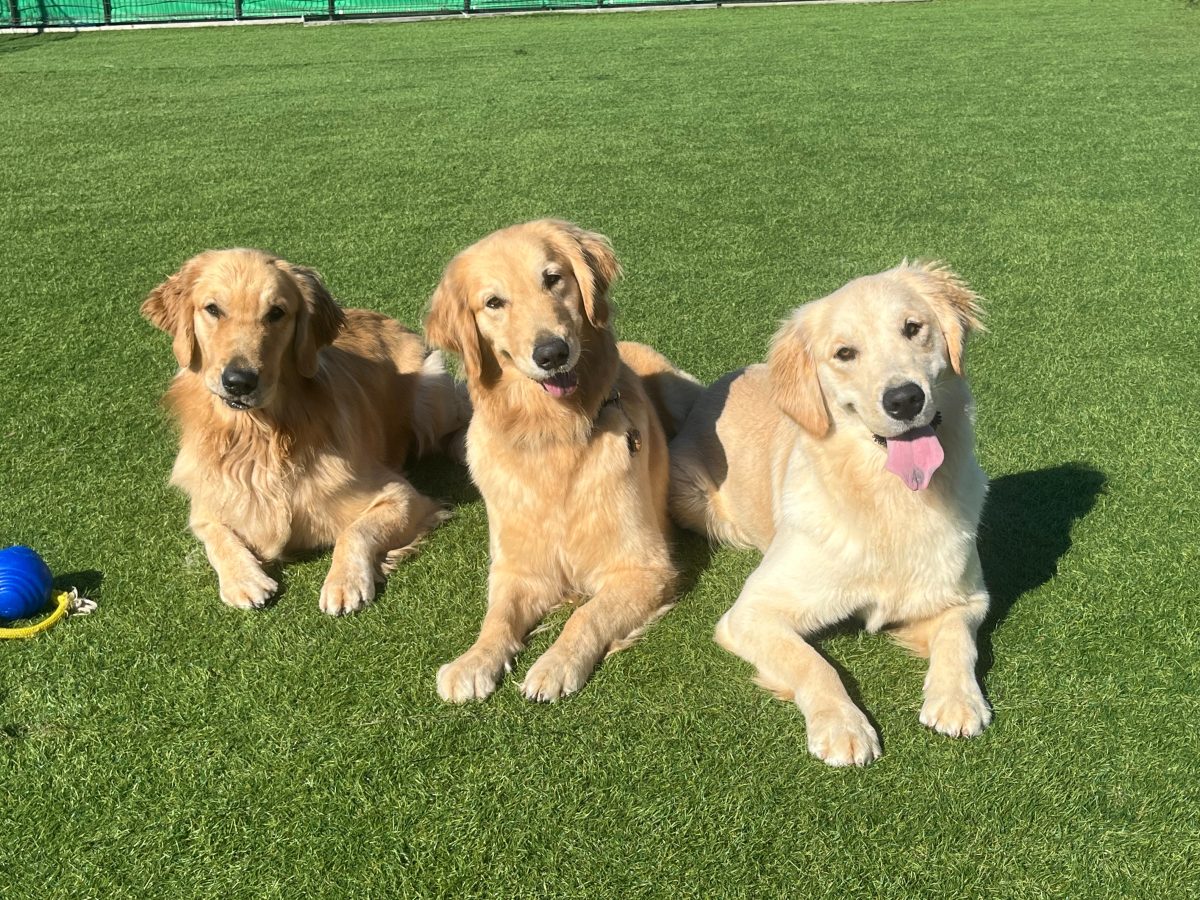 1月14日　今日のスクールでは…②